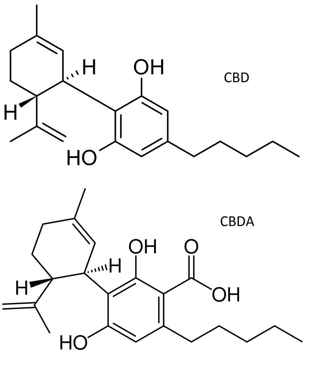 What is CBDA