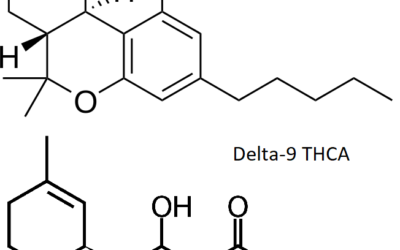 What is THCA?