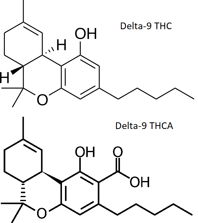 What is THCA